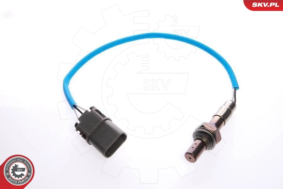 Oxygen Sensor